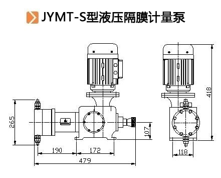 JYMT-S型液压隔膜计量泵结构图.jpg