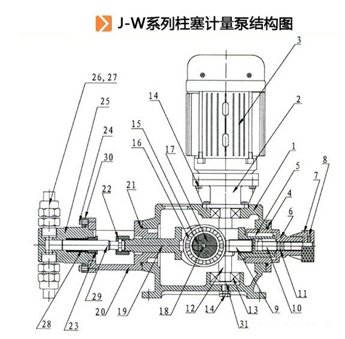 J-W系列柱塞计量泵结构图.jpg