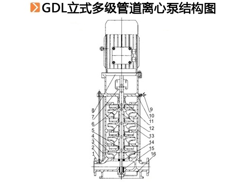 GDL立式多级管道离心泵结构图.jpg
