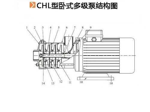CHL型卧式多级泵结构图1.jpg