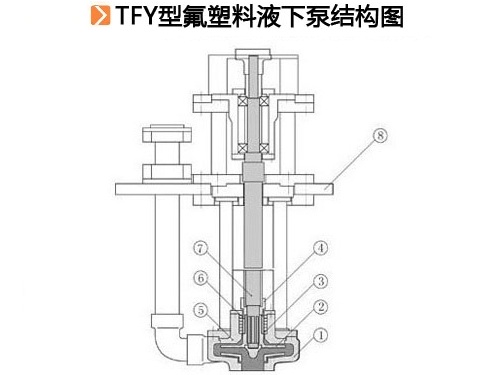 TFY型氟塑料液下泵结构图.jpg