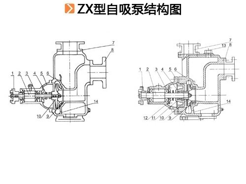 ZX型自吸泵结构图.jpg