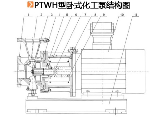 PTWH型卧式化工泵结构图.jpg