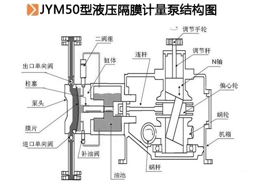 JYM50型液压隔膜计量泵结构图.jpg