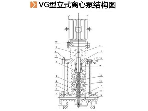VG型立式离心泵.jpg