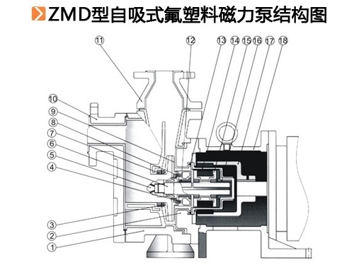 ZMD型自吸磁力泵.jpg