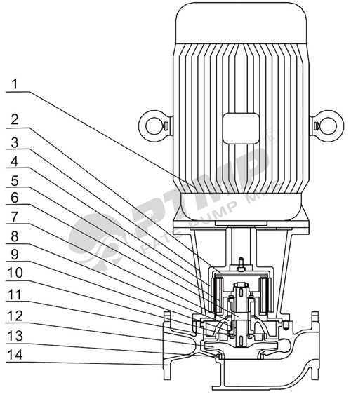 CQG磁力泵结构图500.jpg