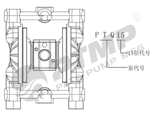 PTQ隔膜泵型号意义500.jpg